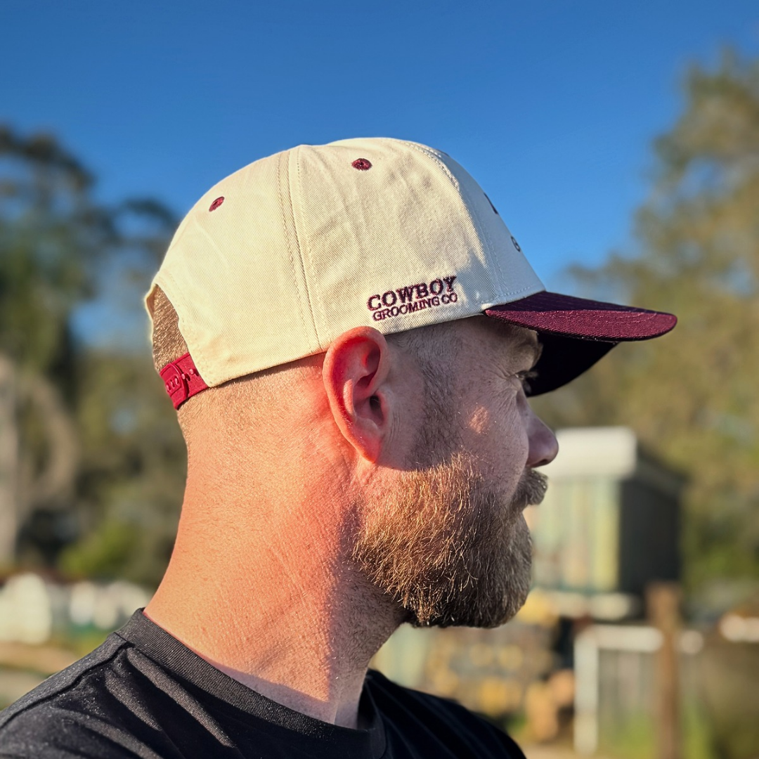 Amarillo Guns & Ammo Cap